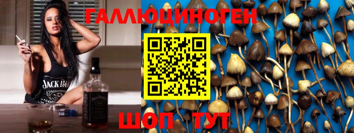 Псилоцибиновые грибы мицелий Пугачёв